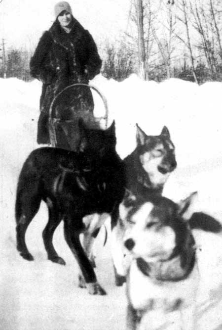 Photo of Wuka with dog team